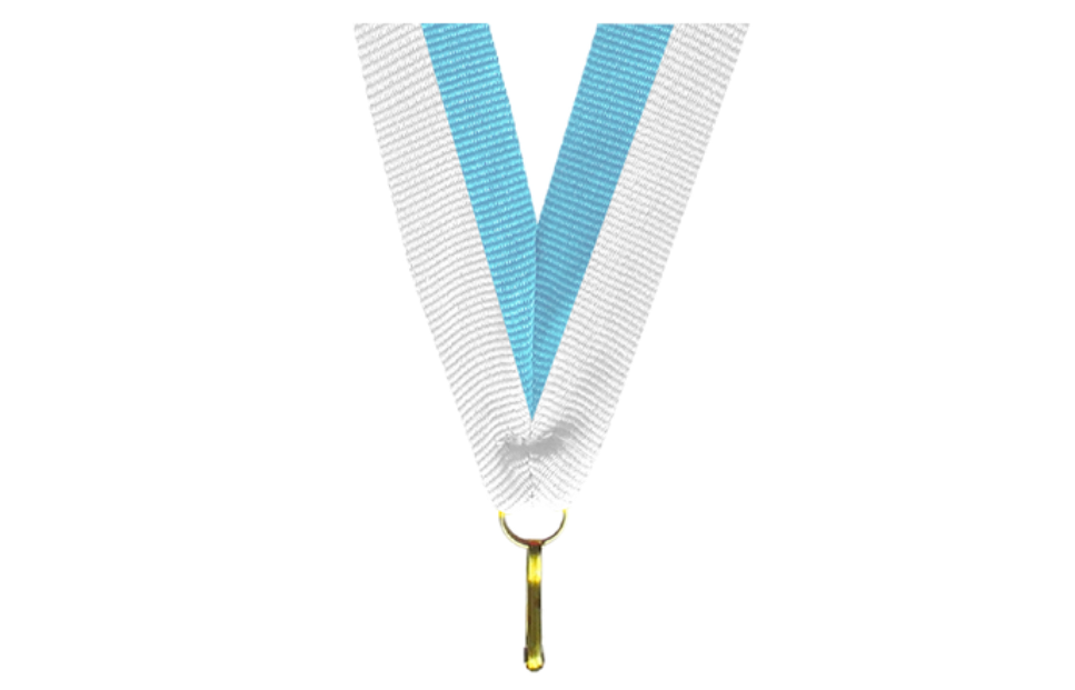 100er Pack Bänder Breite 22 mm / Länge ca. 400 mm - Weiss/Hellblau / 22x400mm