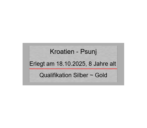 Gravurschild Silber selbstklebend - Silber / 60 x 25 mm