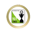 Fußball Trophäe 3963 - Bronze Gold / 27 cm