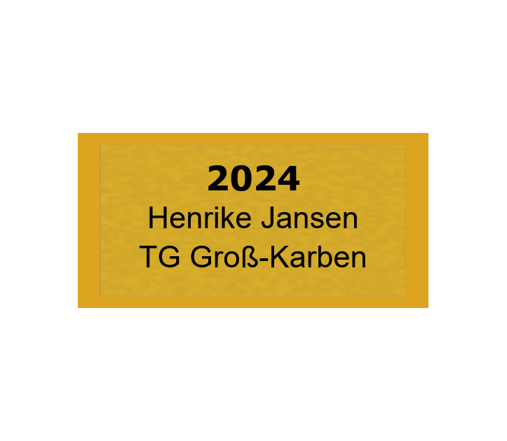 Gravurschild Gold selbstklebend - Gold / 50 x 25 mm