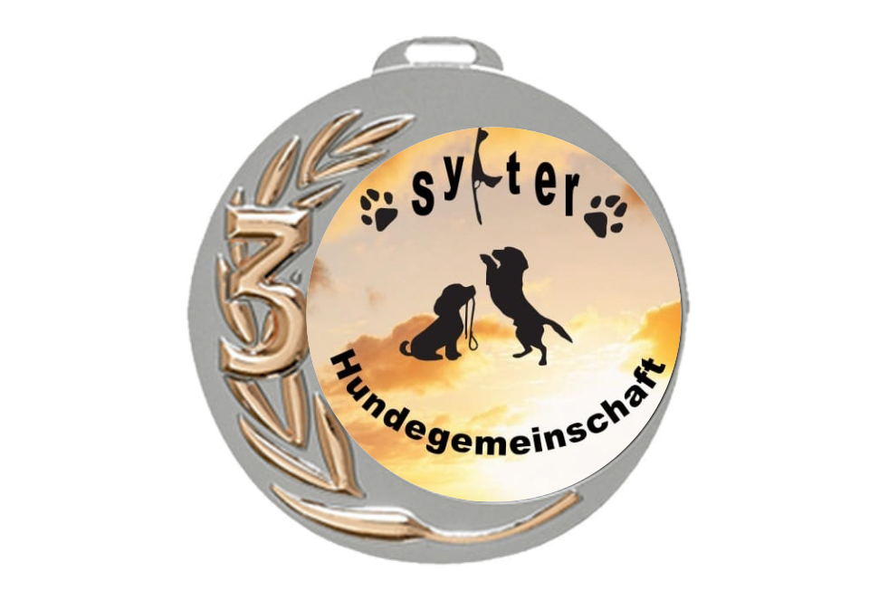 Medaille 080C Ø 70 mm - Bronze / 70 mm