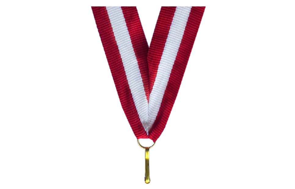 100er Pack Bänder Breite 22 mm / Länge ca. 400 mm - Rot/Weiss/Rot / 22x400mm