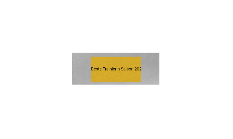 Fußballschuh 8352 - Silber / 17x20 cm