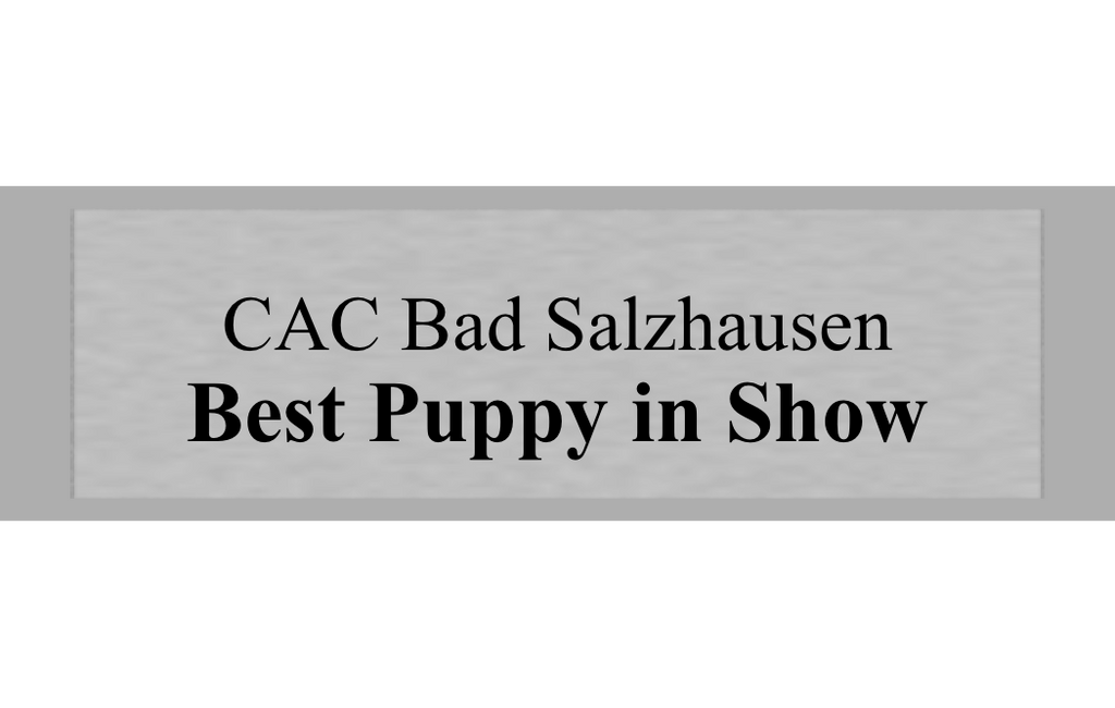 Gravurschild Silber selbstklebend - Silber / 50 x 15 mm