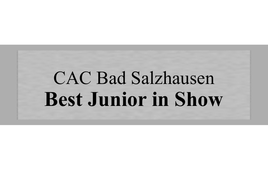 Gravurschild Silber selbstklebend - Silber / 50 x 15 mm