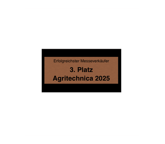 Hollywood Classic Award in Bronze - Bronze / 18 cm