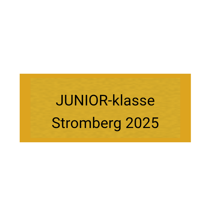 Gravurschild Gold selbstklebend - Gold / 50 x 20 mm