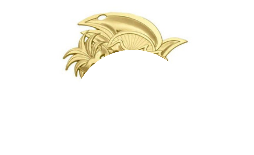 Karnevals Medaille D60 - Gold / 80x85x2mm