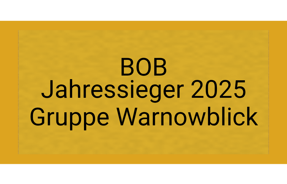 Gravurschild Gold selbstklebend - Gold / 50 x 25 mm