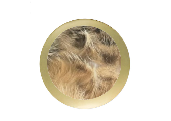 Fußball Pokal ST.023 - 16,5 cm / Gold