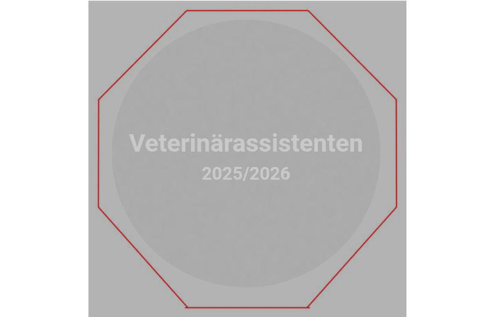 Glasmedaille GM67 Ø 75mm - Klar / 75 x 75mm / Lasergravur