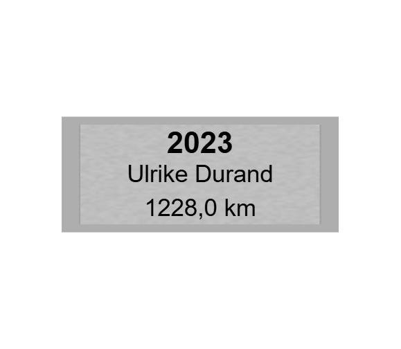 Gravurschild Silber selbstklebend - Silber / 60 x 25 mm