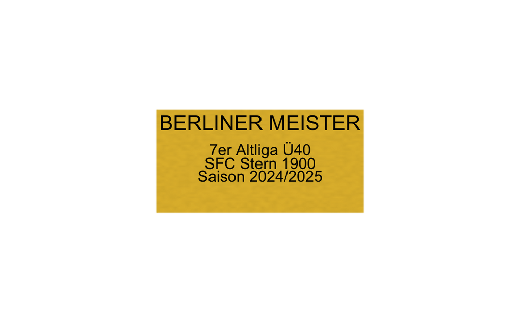 Fußball Pokal 85-3 teilweise begrenzt! - Silber Gold / 28 cm