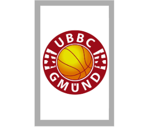 Glasbierseidel Wappen 704 - Transparent/Grau / 16 cm