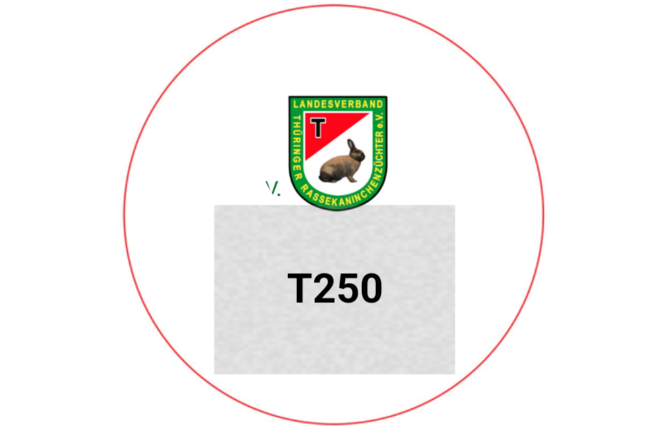 Holzmedaille aus Birke MN70 - Birke natur / 60/70mm / Laser-Gravur