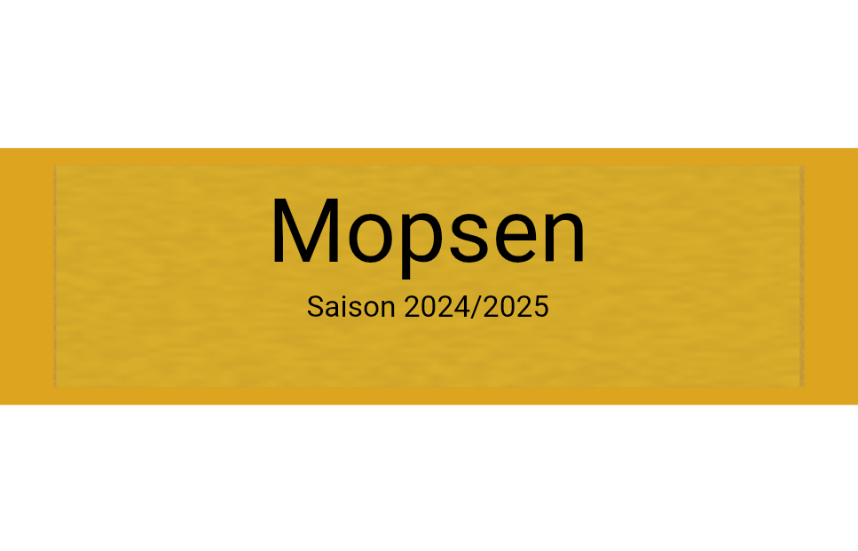 Gravurschild Gold selbstklebend - Gold / 50 x 15 mm