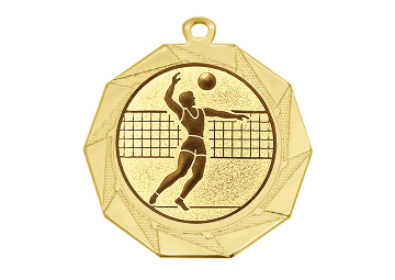 Medaille BS.ME83 Ø 70 mm - Gold / 70 mm