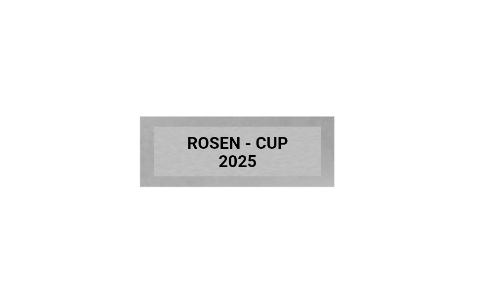 Dart Pokal PFS_009 - 21 cm / Silber Mehrfarbig