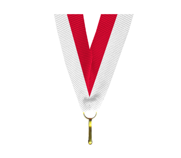 100er Pack Bänder - Breite 11 mm / Länge ca. 400 mm - Weiss/Rot / 11x400mm