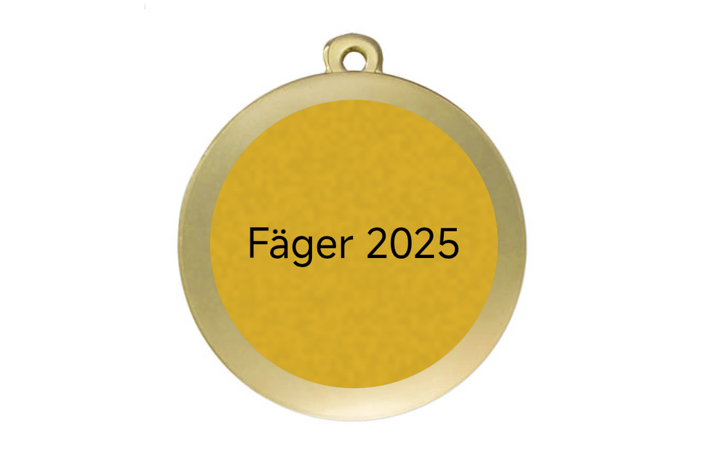 Eishockey Medaille MMC3250 Ø 50 mm - Gold / 50 mm