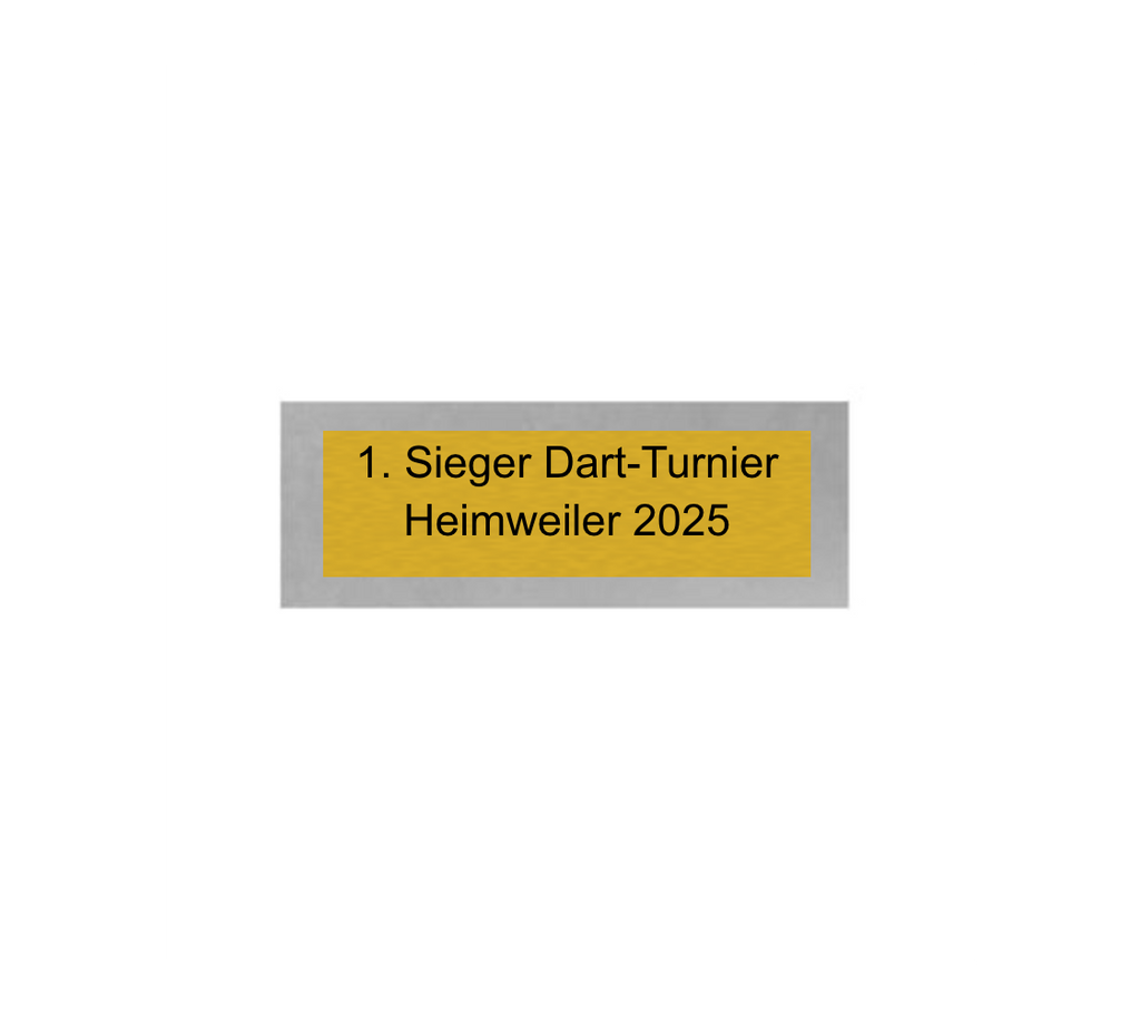 Dart Pokal PFS_009 - 22.5 cm / Silber Mehrfarbig