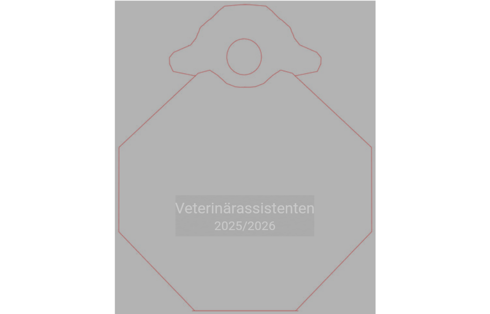 Glasmedaille 6736x Ø 85mm - Klar/Silber / Ø 85 mm