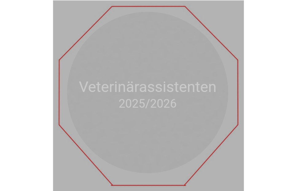 Glasmedaille GM67 Ø 75mm - Klar / 75 x 75mm / Lasergravur