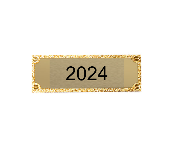 Gravurschild edel in Gold - Gold / 62 x 25 mm