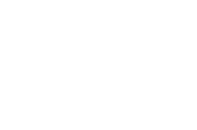 Edelstahl-Bierkrug 1336 - Silber / 13 cm