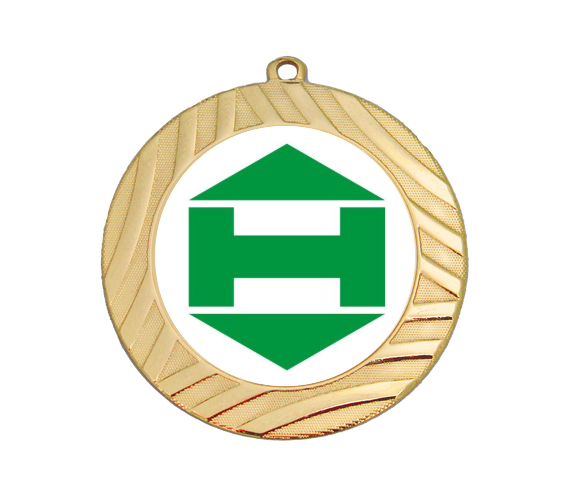 Medaille BS.MI7001 Ø 70mm - Gold / 70 mm