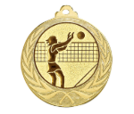 Medaille 095C Ø 70 mm - Gold / 70 mm