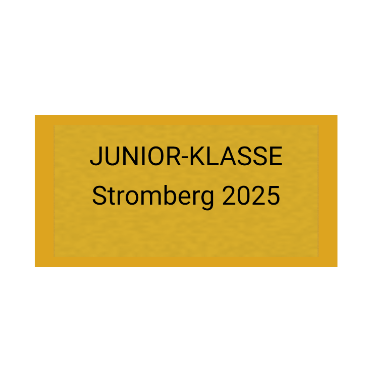 Gravurschild Gold selbstklebend - Gold / 50 x 25 mm