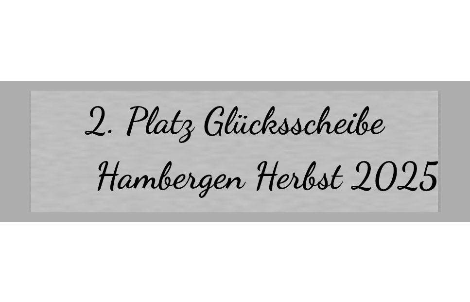 Gravurschild Silber selbstklebend - Silber / 50 x 15 mm