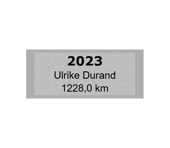 Gravurschild Silber selbstklebend - Silber / 60 x 25 mm