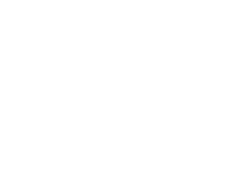 19.5 cm / Auswahl Weiß