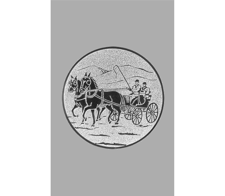 Glasbierseidel Wappen 704 - Transparent/Grau / 16 cm