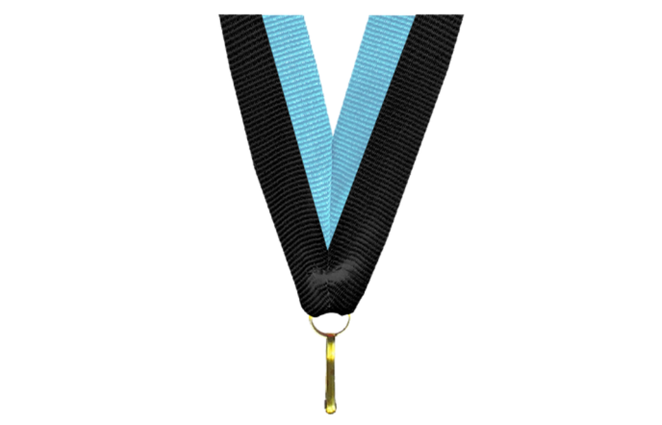 100er Pack Bänder Breite 22 mm / Länge ca. 400 mm - Schwarz/Hellblau / 22x400mm