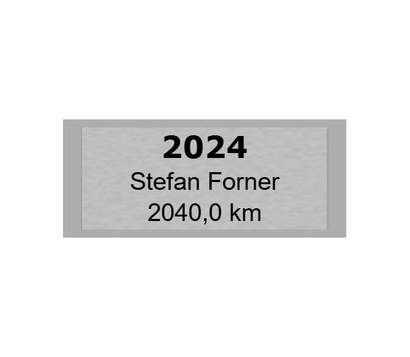 Gravurschild Silber selbstklebend - Silber / 60 x 25 mm