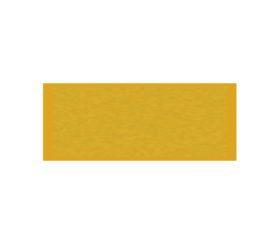 Löffel Award TI09 - Gold / 15 cm