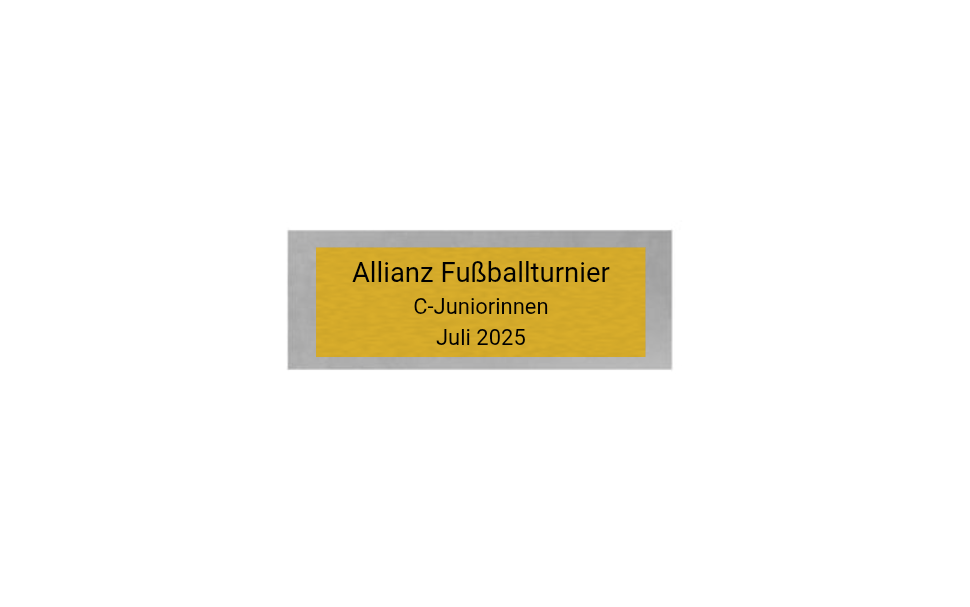 Fußball Pokal FG401 - Silber Mehrfarbig / 30 cm