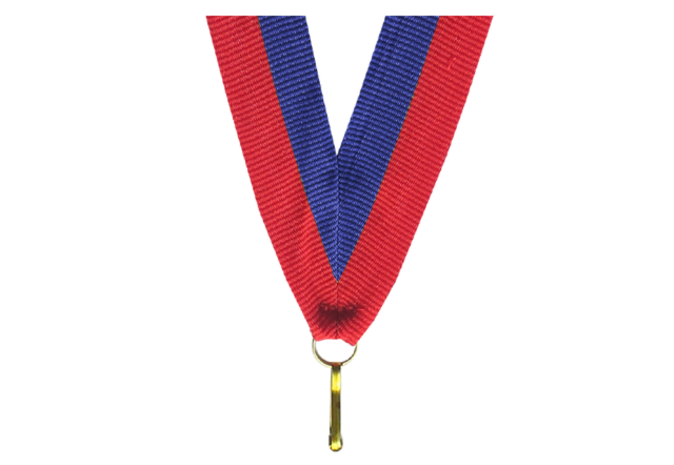 100er Pack Bänder - Breite 11 mm / Länge ca. 400 mm - Rot/Blau / 11x400mm