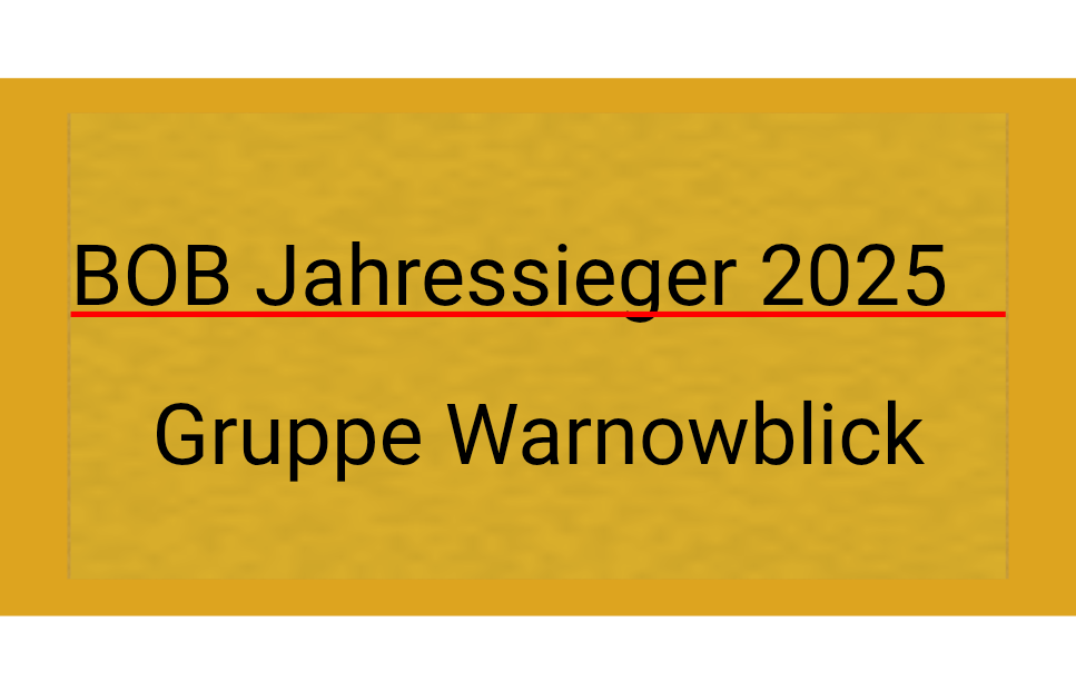 Gravurschild Gold selbstklebend - Gold / 50 x 25 mm