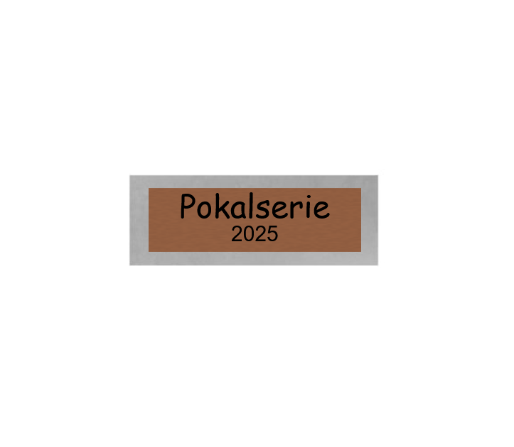 Dart Pokal PFS_009 - 19.5 cm / Silber Mehrfarbig