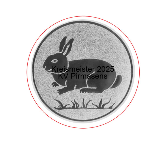 Glasmedaille 67306 Ø 80mm/70mm/60mm - 67306 Ø 80 mm / Transparent / Lasergravur