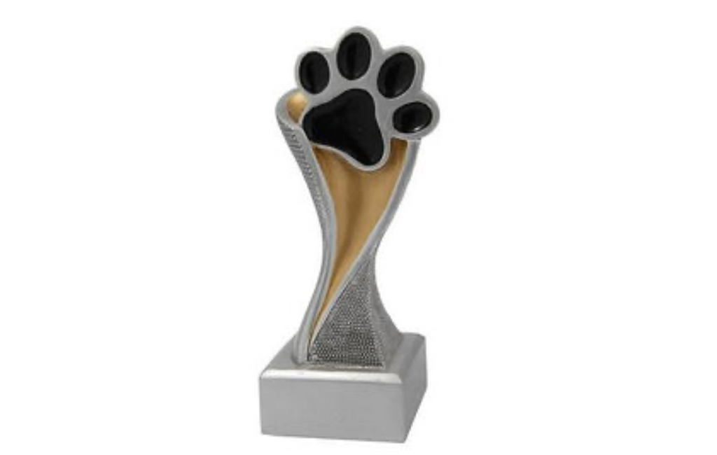 14.5 cm / Silber Gold