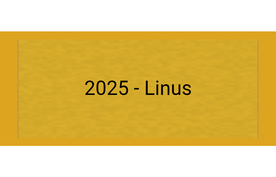 Gravurschild Gold selbstklebend - Gold / 60 x 25 mm