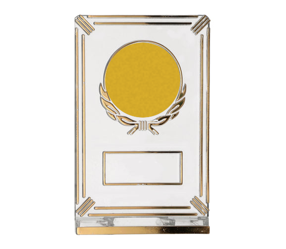 8.5x13 cm / Transparent/Gold