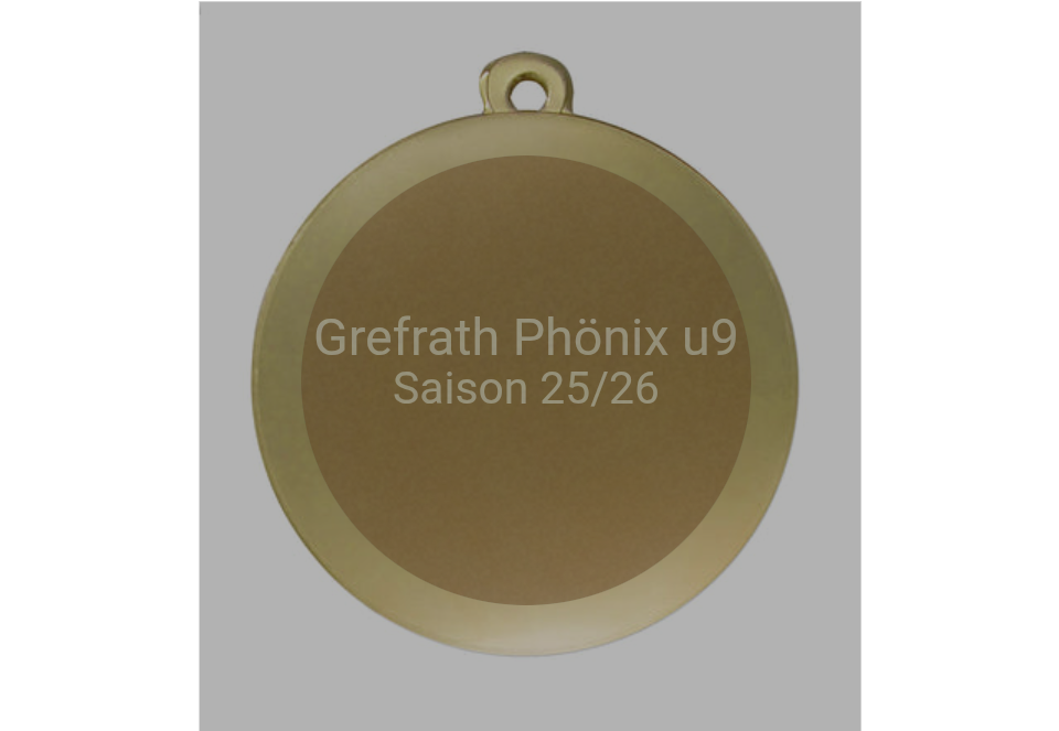 Eishockey Medaille MMC3250 Ø 50 mm - Gold / 50 mm