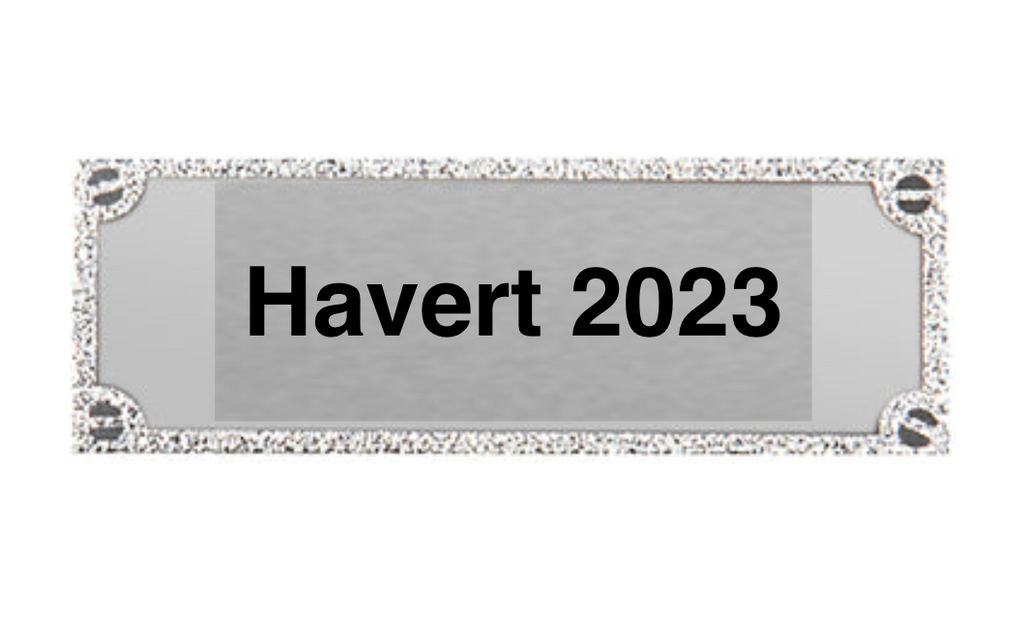 Gravurschild edel in Silber - Silber / 62 x 25 mm