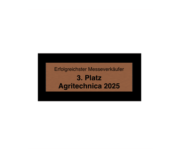 Hollywood Classic Award in Gold - Gold / 24 cm